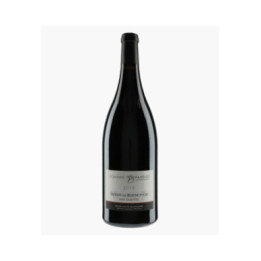 Savigny-les-Beaune 1er Cru Les Guettes - PAVELOT