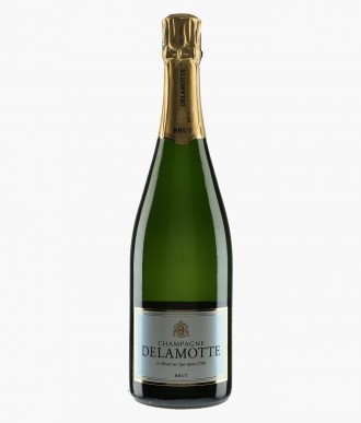 Wine Champagne Brut - DELAMOTTE